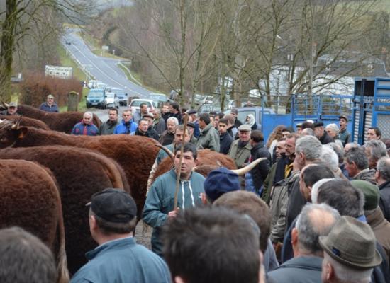 chargement animaux salon agriculture 2014